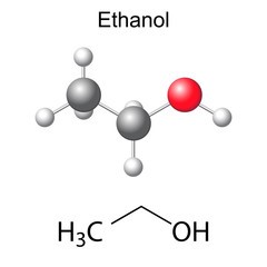 Etanol Yakıtı ve Performansı